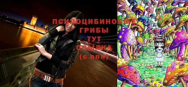 прущие крисы Аркадак