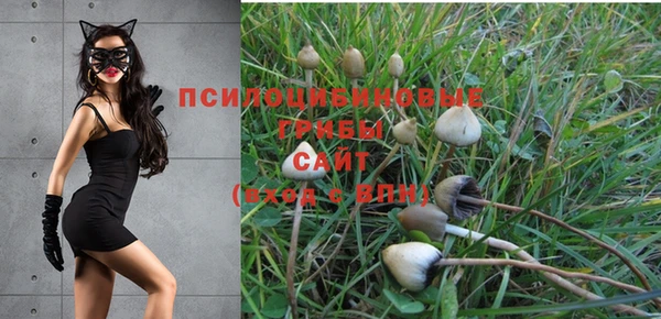 прущие крисы Богородск