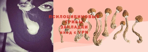 прущие крисы Аркадак