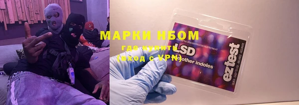 ECSTASY Богданович
