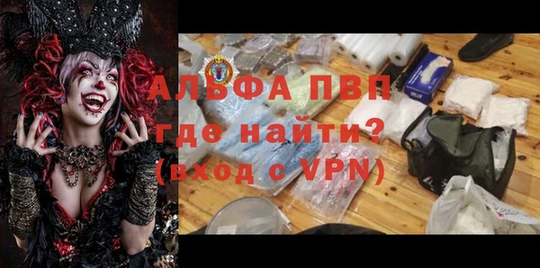 ECSTASY Богданович