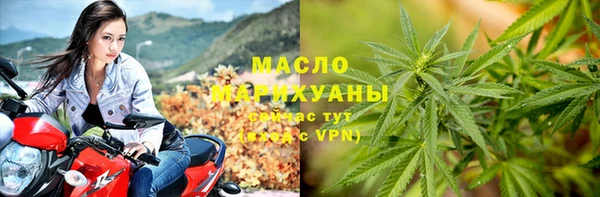 ECSTASY Богданович