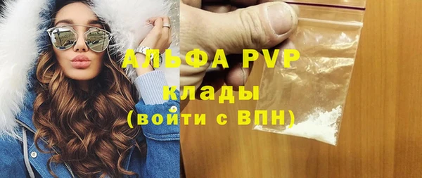ECSTASY Богданович
