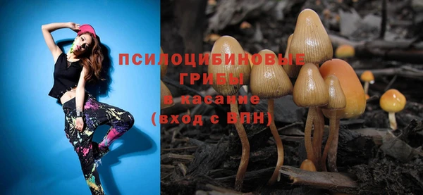 первитин Армянск