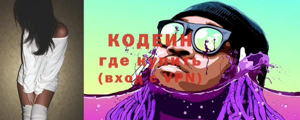 ECSTASY Богданович