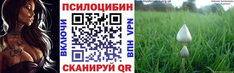 Псилоцибиновые грибы Psilocybine cubensis  Свирск 